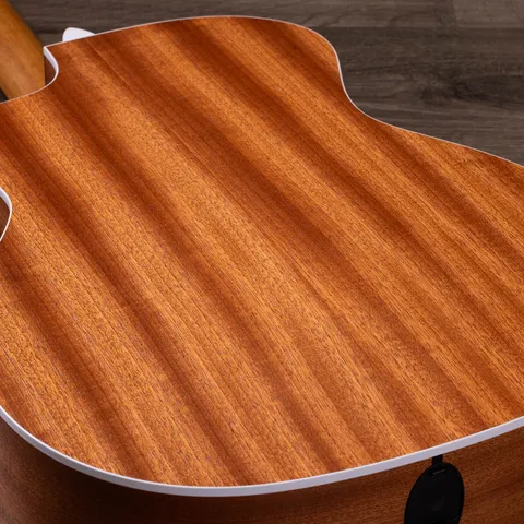2024年の新アコースティックギター | Taylor Guitars
